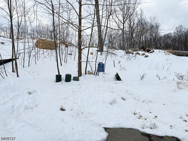 2nd image of 9 Bristol Ridge Rd