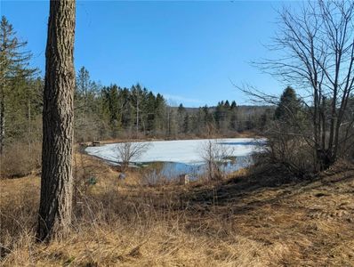 0 Old Seventy Six Rd Lot 1, Brooktondale, NY, 14817