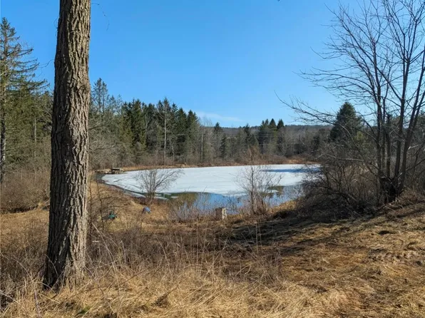 0 Old Seventy Six Rd Lot 1, Brooktondale, NY 14817
