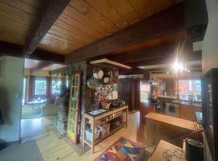 225 N Piedmont St #1, Rico, CO 81332