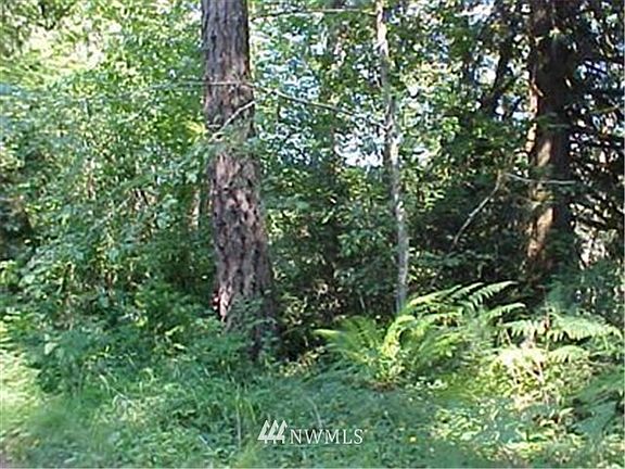 5th image of 0 Lot 1 Coon Drive N