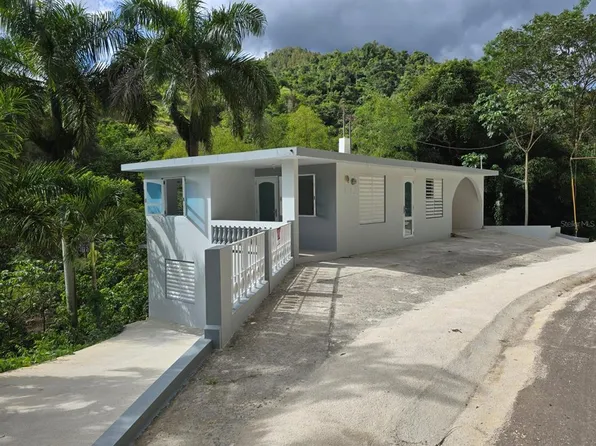 Carr 555 Bo Coamo Arriba, Coamo, PR 00769