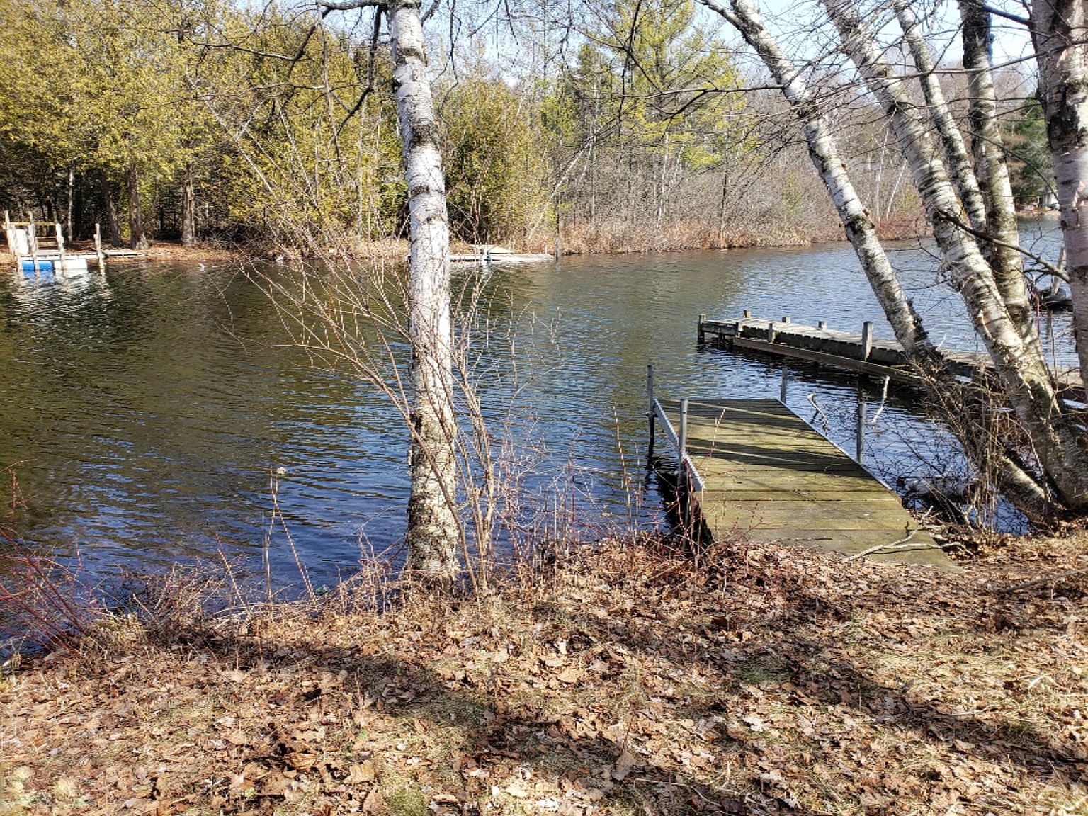 9464 W School Section Lake Dr, Mecosta, MI 49332 Zillow