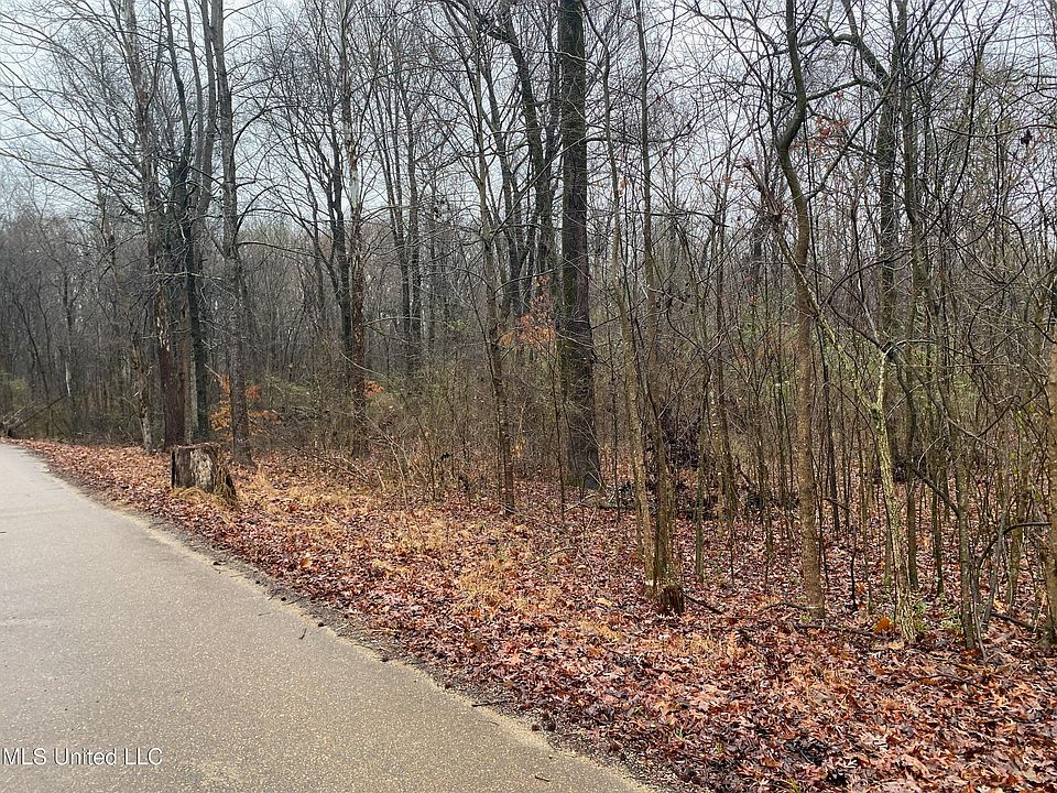 2nd image of Bankston Rd N Lot 16