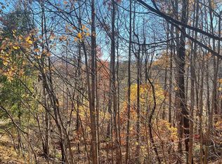 LOT-41C Ash Branch Cir, Hayesville, NC 28904