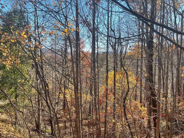 LOT-41C Ash Branch Cir, Hayesville, NC 28904