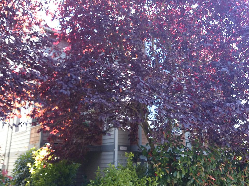 1st image of 2651 NW 57th St #A