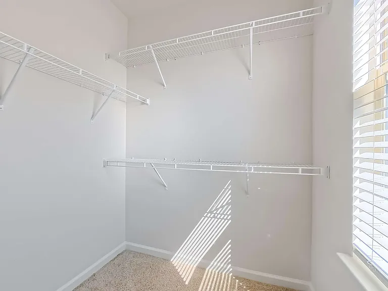 Bright and spacious walk-in closet with ample white shelving and natural light through large window.