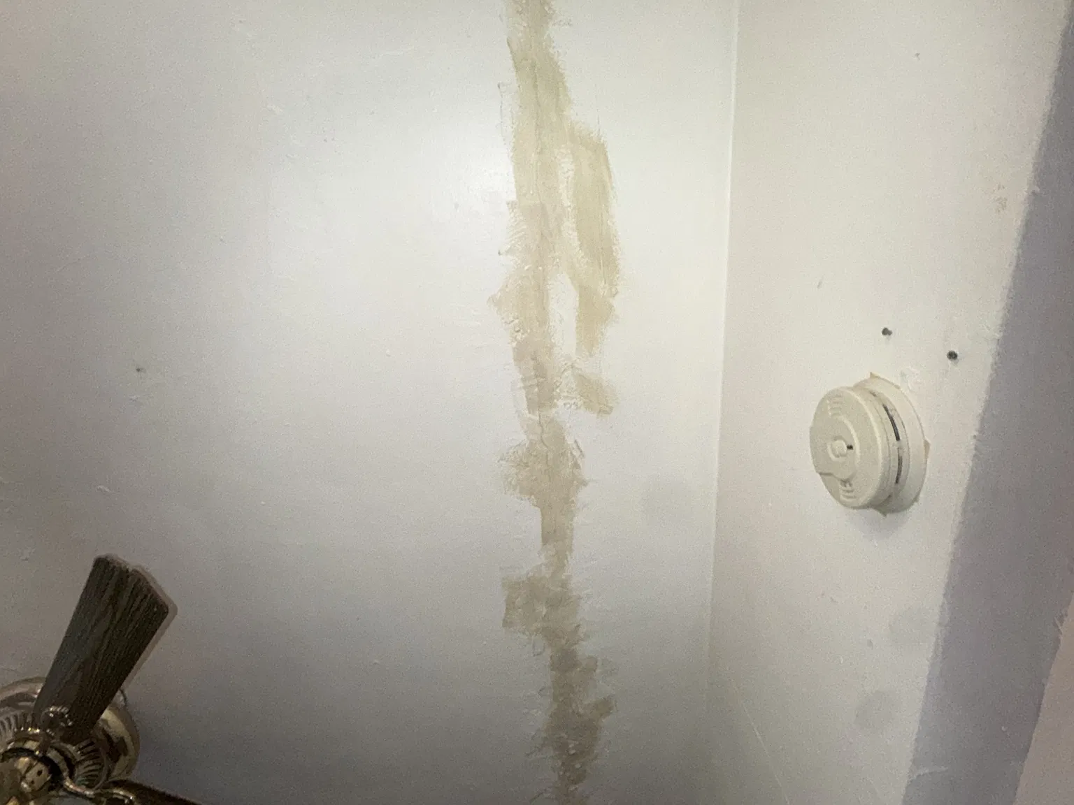3 bed, 900 sqft, $590 — Photo 3