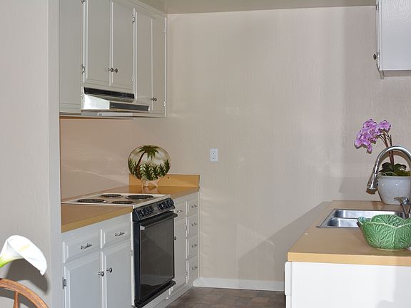 4th image of 7213 Rosita Ct