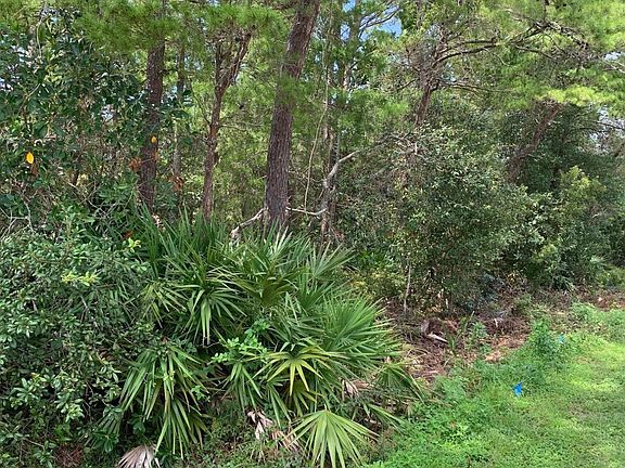 4th image of Lots 12&13 Shelter Cove Dr