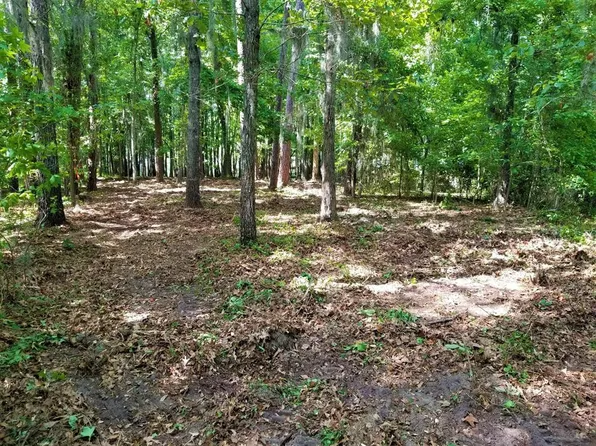 25 Parklin Ln, Elloree, SC 29047