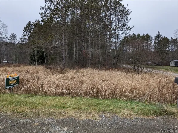Vl County Rd #49-29, Caneadea, NY 14717