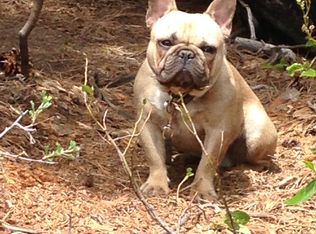 4407 NE 31st Ave, Portland, OR 97211