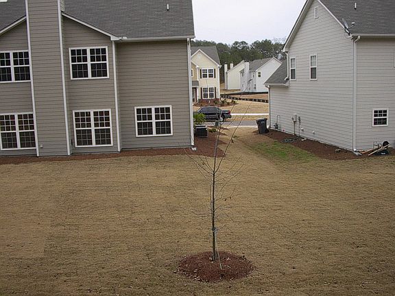 Back right of the house