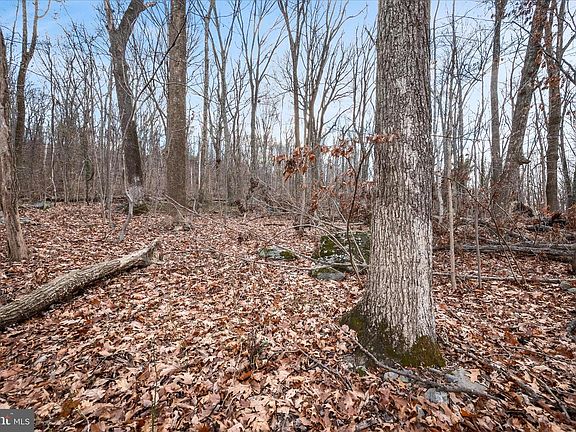 5th image of Lots 115 116 210 Red Maple Ln