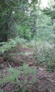Nna Spirit Wolf Trl, Sandpoint, ID, 83864