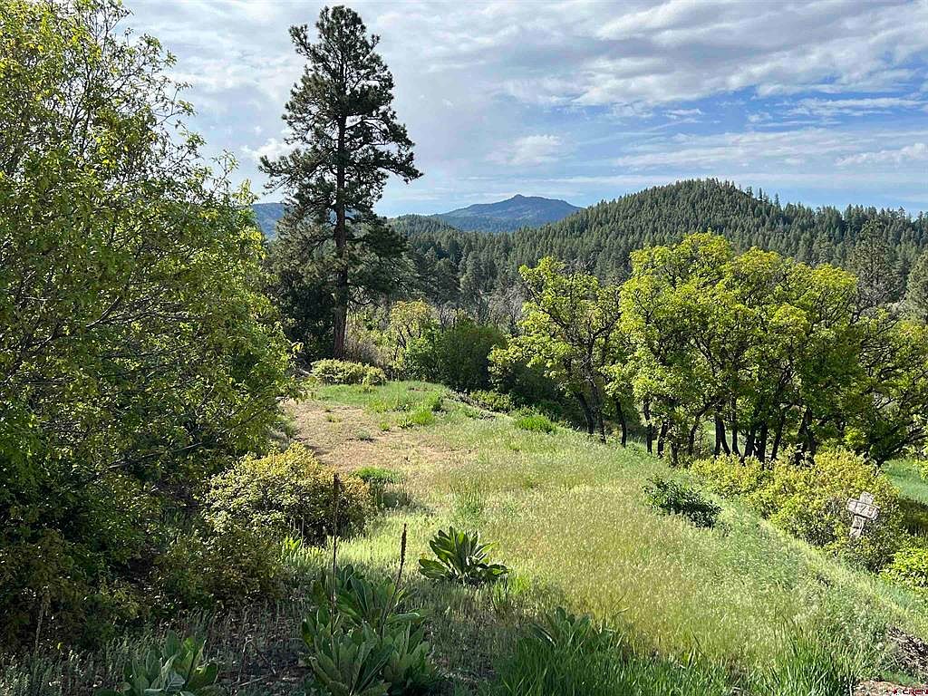 175 E Arbol Park Dr, Chromo, CO 81128 MLS 802414 Zillow