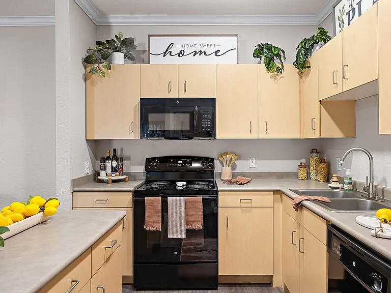 Artisan Apartments & Shops in Austin Texas