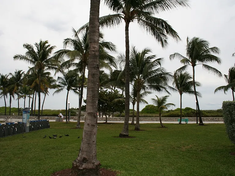 1390 Ocean Dr #402 — Photo 28