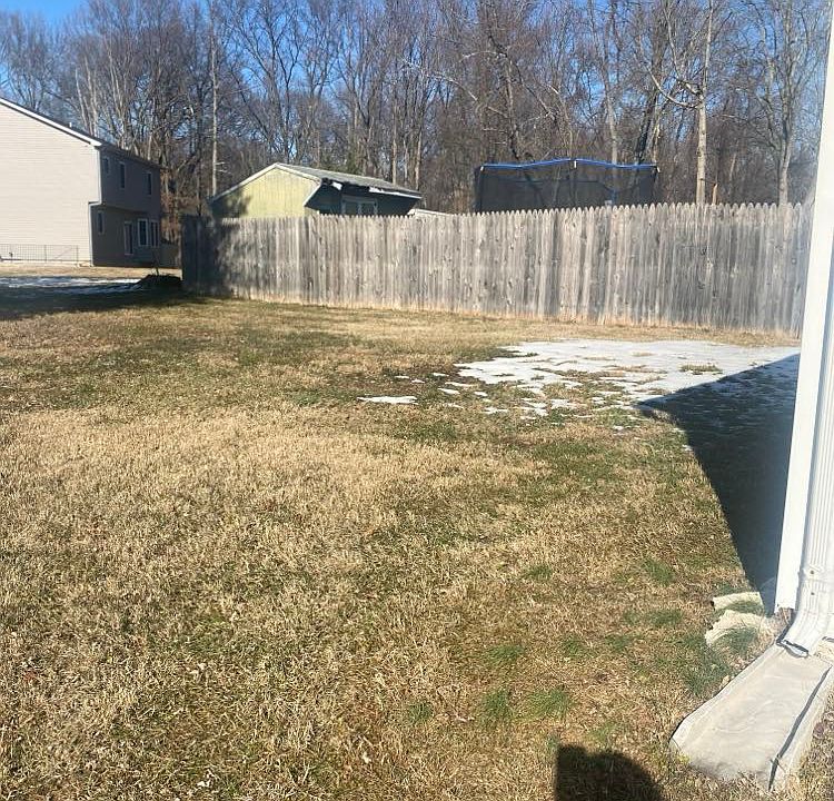 back yard