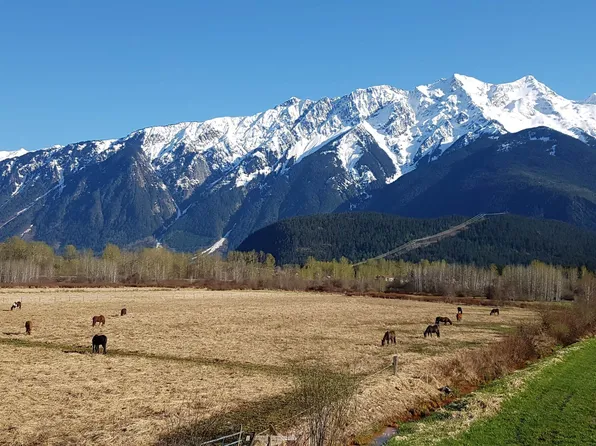 1380 Collins Rd, Pemberton, BC V0N 2L1