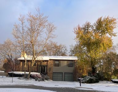 4080 Fir Ct, Hoffman Estates, IL, 60192