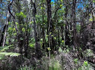 16-1999 Hopue Rd LOT 3192, Mountain View, HI 96771