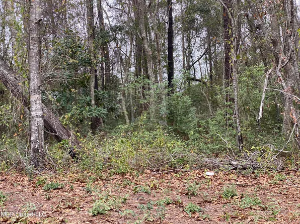 LOT 154 Dolphin Dr Lot 154, Gautier, MS 39553