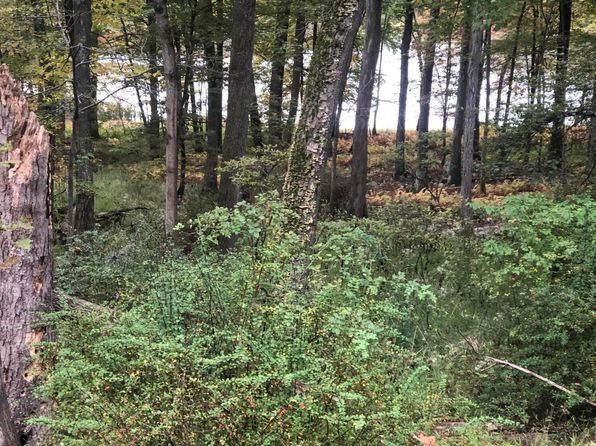 Pocono Blvd LOT 33, Bushkill, PA 18324