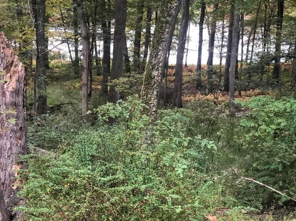 Pocono Blvd Lot 33, Bushkill, PA 18324