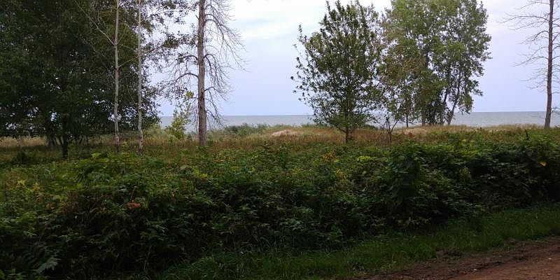 1st image of Rita Dr