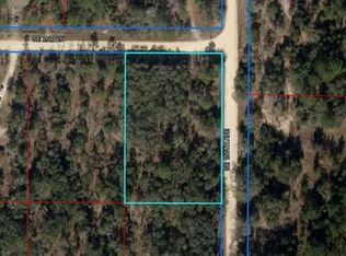 SE 150th Ave LOT 1, Williston, FL 32696