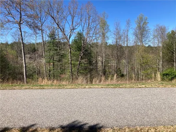 0 Coras Vw Lot 40, Blairsville, GA 30512
