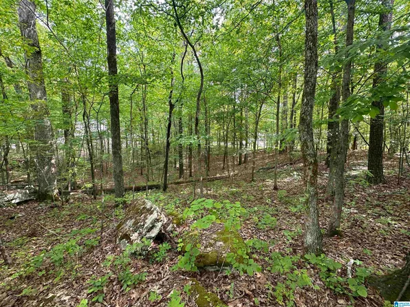Timber Trl #1, Warrior, AL 35180