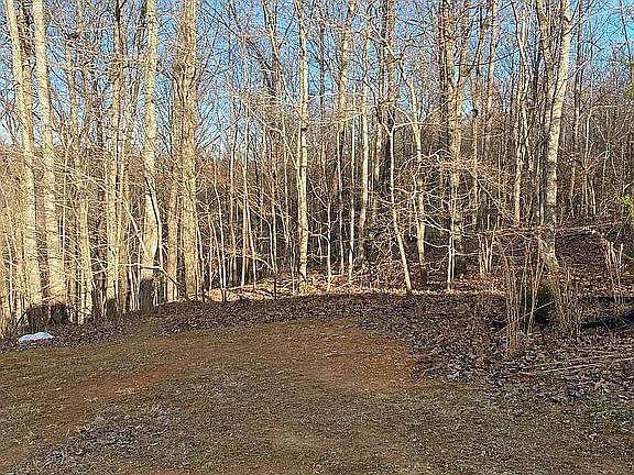 3rd image of 128 Sumler Ln