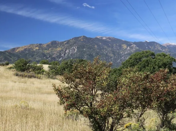 Greenhorn Rd, Rye, CO 81069