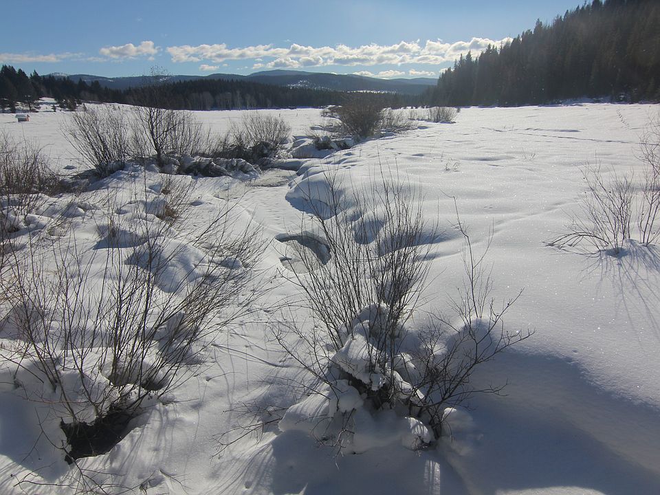 Edna Creek