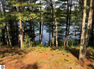 6045 Syers Dr, Irons, MI 49644