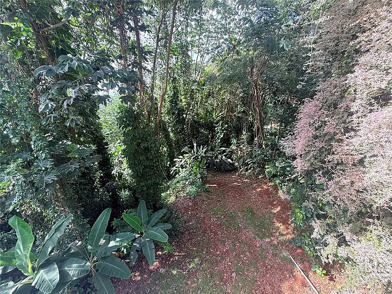 Carr. 349 Cerro Las Mesas — Photo 14