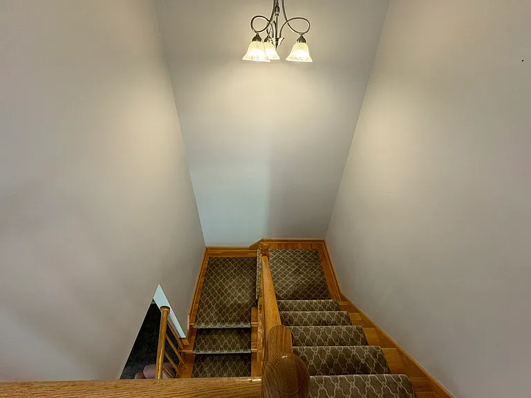 1N061 Mission Ct — Photo 17