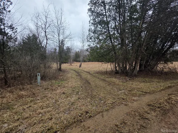 0 Martus Rd, North Branch, MI 48461