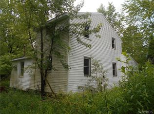 8 Fox Rd, East Otto, NY 14729