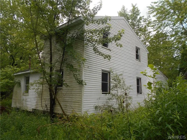8 Fox Rd, East Otto, NY 14729