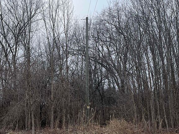 5th image of 0 Fox Ridge Ln #1-A