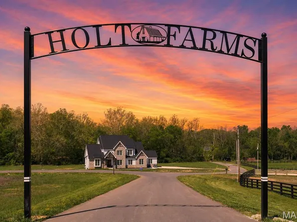 35 Holt Acres Ct, Wentzville, MO 63385