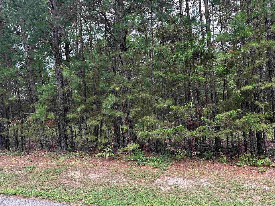 2nd image of LOT 87 Cobalt Bay Dr