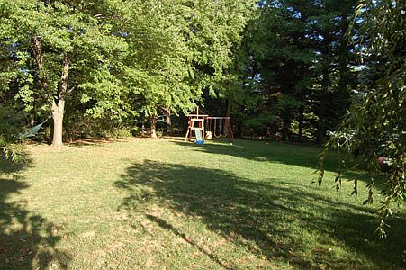Back yard
