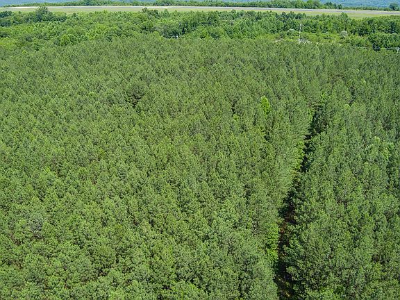 4th image of 317ACRE S Airport Rd