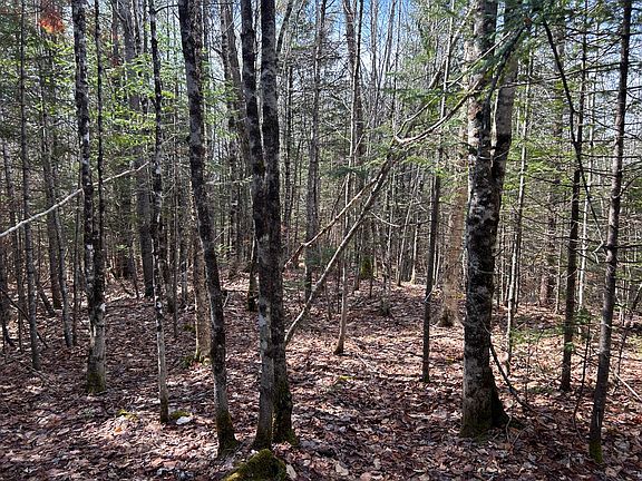 3rd image of Lot 4 Holley Road